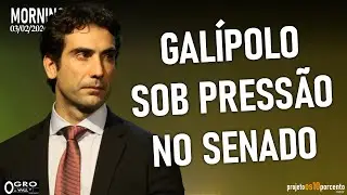 Morning Call - Terça-feira, 03/02/2026 - Senado convoca Galípolo para explicar Banco Master