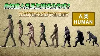我们的祖先真的是来自非洲吗？那人类到底是怎么进化而来的？
