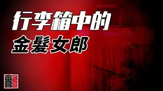 行李箱里的女人 消失的金发女郎  美国迈阿密犯罪故事 连环犯罪 惯犯 解谜 | 叙事体 Narrative