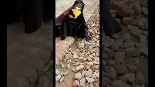 #Step#By#Step#Crow#Mask#Craft##Crow #Mask#And#Getup#roleplay#Thirsty #Crow#Story#art