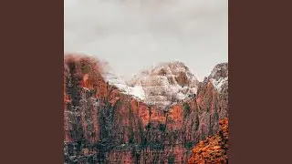 Podrasa