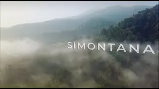 SIMONTANA (Sistem Monitoring Hutan Nasional)/ NFMS (National Forest Monitoring System) Indonesia