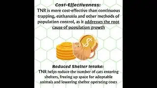 TNR