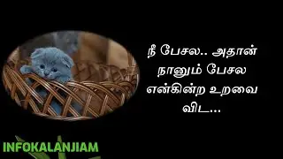 Relationship quotes in Tamil #33 | Tamil Relations Quotes  #relationship #tamilquotes