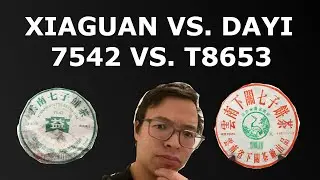 20 Year Old 7542 vs. 20 Year Old Iron Cake 8653 [Inbetweenisode 398]