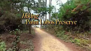 Hiking into Paradise | Point Lobos Trail Series Part 2 to the Pacific Ocean&rsquo;s Hidden Beauty