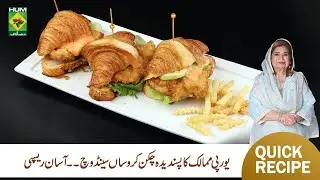 Chicken Croissant Sandwich Recipe | Quick & Delicious | Shireen Anwar | Masala Mornings | Masala TV