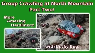 Group Crawling at North Mountain with Bucky Bug Part 2