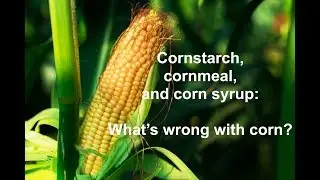 Cornstarch, cornmeal, corn syrup: What's the problem with corn?