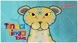 Why Leopard Has Spots? | Tinga Tinga Tales Official | Full Episode