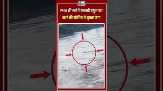 500 Mein Jaan Ki Baazi: Baghpat Mein Yamuna Ko Paar Karne Ki Koshish Ki