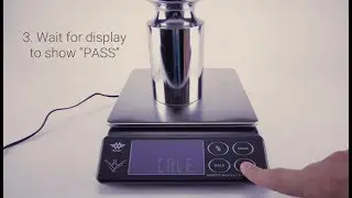 Calibrate My Weigh Maestro Scale
