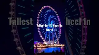 The Ain Dubai | Dubai Eye | Tallest Ferris Wheel in World | #travel #shorts #trending #viral #dubai