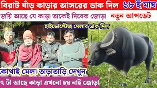 বিরাট ষাঁড় কাড়ার আসরের ডাক দিল// ১৮ ই মাঘ// লাগনি ছাড়া লিব নাই 