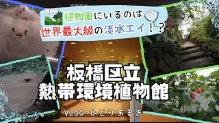 【ひとりあるきvlog】植物園の巨大なエイ！？　板橋区立熱帯環境植物館をあるいてみた編