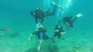 Try Dive