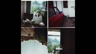 Enofa &ndash; Revolution (experimental, noise, sound collage, musique concrete, lo-fi, 2012)