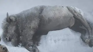 Legendary White Bison Location | Red Dead Redemption 2 | Legendary animal Location