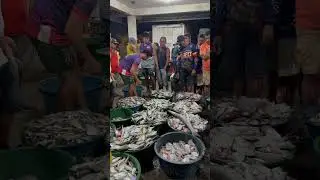 Salute to all Hardworking-fishermen🙏❤️ #fishing #viral #short #shorts #seafood #shortsvideo