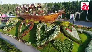 Amazing view !!!  |Aerial footage of Miracle Garden Dubai | #tourism