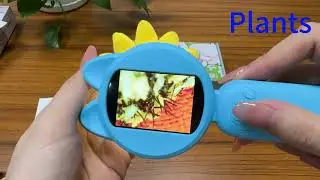 Digital Microscope with LCD Review &ndash; 1000X Portable USB Zoom for Science, Coins, Kids & Learning