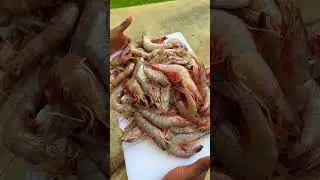 FASTEST CRAWFISH BOIL EVER!🦞