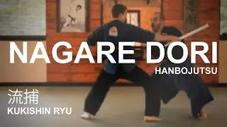 Hanbojutsu: Nagare Dori 流捕  Stick fighting technique  of the Kukishin Ryu