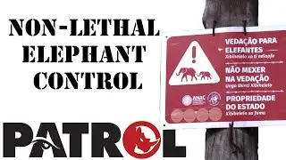 Non-lethal Elephant Control
