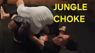 Defense into offense! The Jungle Choke bjj counters
