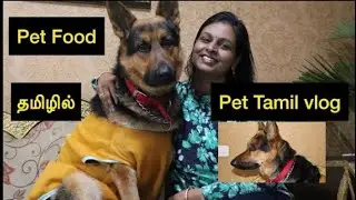 Dog , cat food review | pet care tips | Day with my pets | Delhi tamil vlog |#lvlog #germanshepherd