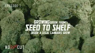 Growing Green: From Seed to Shelf | Inside a Legal Cannabis Grow | Los Angeles