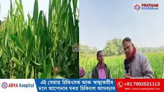 মাকৈ খেতিৰে স্বাৱলম্বী ওদালগুৰিৰ দুজন ব্যক্তি।