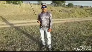 #pescaria de tra&iacute;ra com isca matadeira.