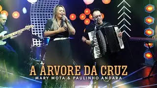 A Árvore da Cruz / Mary Mota & Paulinho Andara - Clipe Oficial