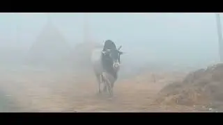 Aaj Gaye school 🏫 😪 school me kuch aesa ho gya aaj socha nhi tha