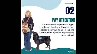 How Service Dogs Help With Mental Health Conditions
