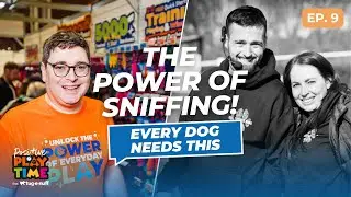 Scentwork Tips: How Sniffing Helps Your Dog Feel Happier & Calmer