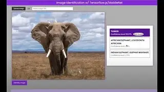 TensorFlow.js + Mobilenet + Teachable Machine + Speech Command + BertQA + FaceAPI + Machine Learning