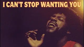 I Can't Stop Wanting You