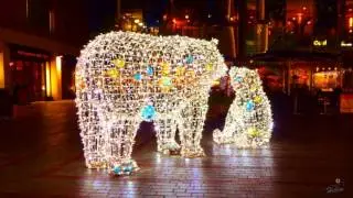 Christmas around Exeter centre - 2016