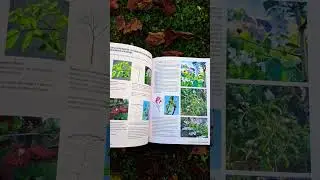 La taille raisonn&eacute;e des arbustes - monjardindansleslandes
