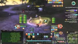 The Battle of Freemarch (Rift Open World PvP)