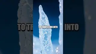 Supercooled Water Experiment