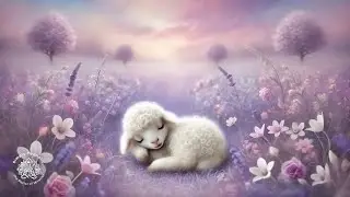 Deep Relaxation Sleep | White Noise for Peaceful Rest and Stress Relief