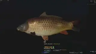 Trophy Carp (15 kg 252 gr) - Czech: Rybaviсy Pond | FISHER ONLINE