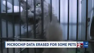 Microchip data erased for some pets after company goes dark