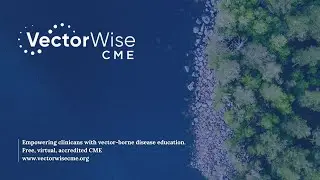 Evidence-based Medicine in the Setting of Lyme Disease