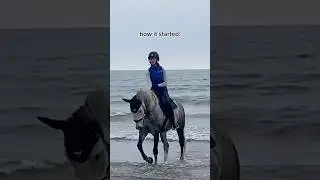 no more beach for me. #horse #horses #horseriding #horsegirl #riding #equestrian #pony #horsefan