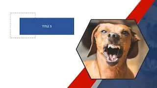 Product Intro Slide Design Tutorial - PowerPoint 2019