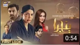 Pinjra | First Look | Coming Soon |Noman Ijaz | Hadiqa Kiyani | Hiba Bukhari | ARY Digital